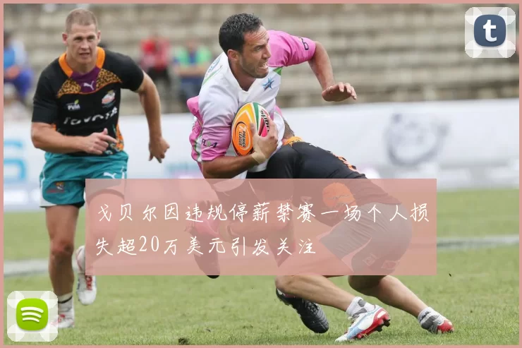 戈贝尔因违规停薪禁赛一场个人损失超20万美元引发关注