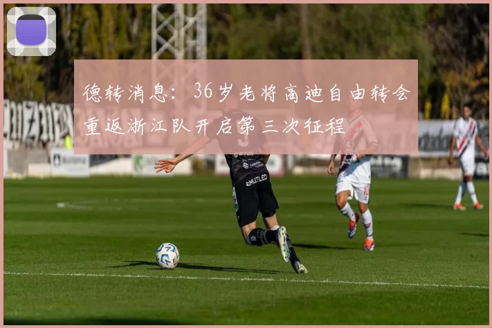 德转消息：36岁老将高迪自由转会重返浙江队开启第三次征程